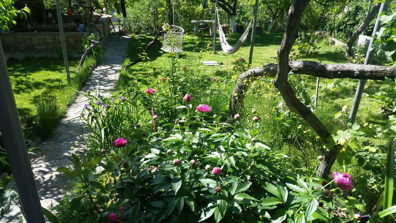 Guest House Ucha Mtsʼkhetʼa Eksteriør bilde